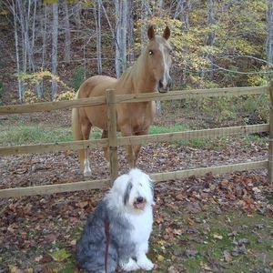 Meet your Posher, Julie